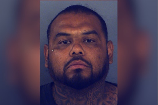 Far East El Paso Raid Saves 35 Animals From Squalor, Man Nabbed