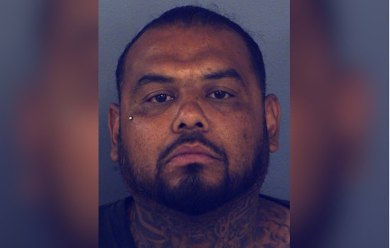 Far East El Paso Raid Saves 35 Animals From Squalor, Man Nabbed