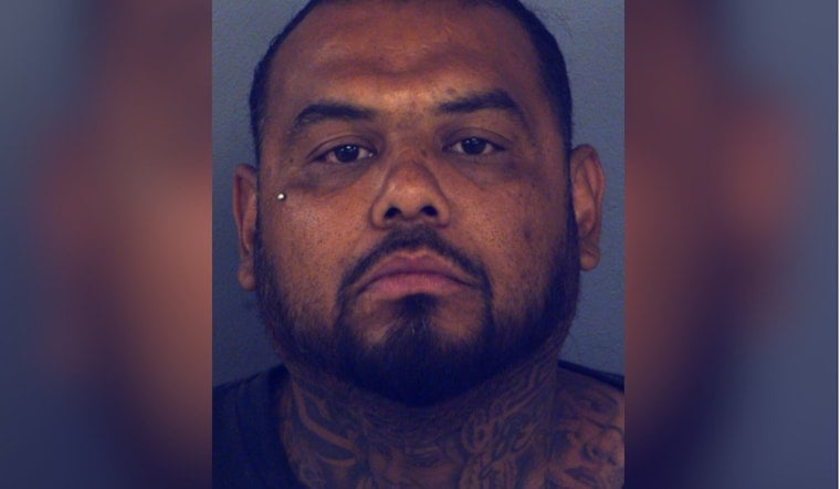 Far East El Paso Raid Saves 35 Animals From Squalor, Man Nabbed