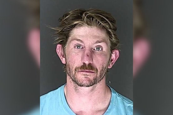Felony Alert Fugitive Gives Up After K9 Styx Joins Colorado Springs Hunt