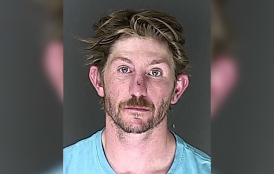 Felony Alert Fugitive Gives Up After K9 Styx Joins Colorado Springs Hunt