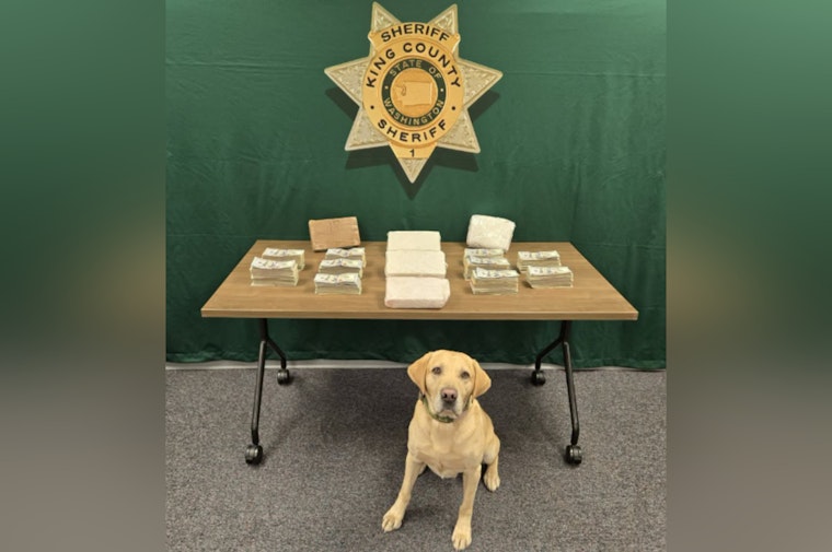 Fentanyl, Cocaine And Cash, King County Cops Bust Big Southwest Drug Haul On Father's Day