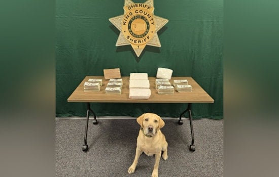 Fentanyl, Cocaine And Cash, King County Cops Bust Big Southwest Drug Haul On Father's Day