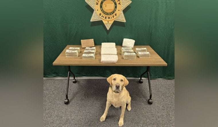Fentanyl, Cocaine And Cash, King County Cops Bust Big Southwest Drug Haul On Father's Day