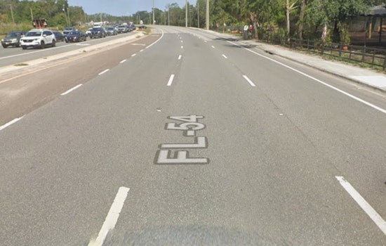 FHP Seeks Woman After Fatal SR 54 Hit-And-Run In Zephyrhills
