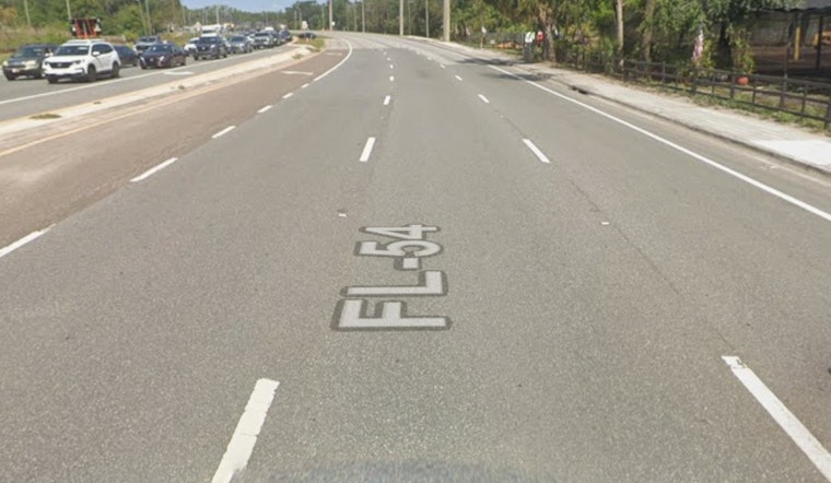 FHP Seeks Woman After Fatal SR 54 Hit-And-Run In Zephyrhills
