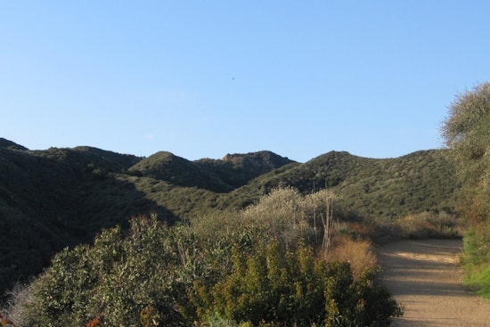 Fire-Scorched Will Rogers Ranch Stages Local Comeback as Route 66 Party Rolls In