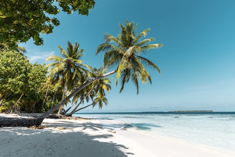 Florida Keys Fantasy Island Gets $5 Million Reality Check