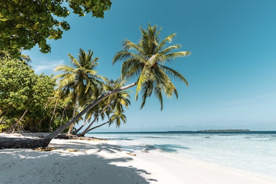 Florida Keys Fantasy Island Gets $5 Million Reality Check