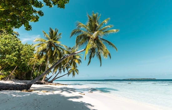 Florida Keys Fantasy Island Gets $5 Million Reality Check