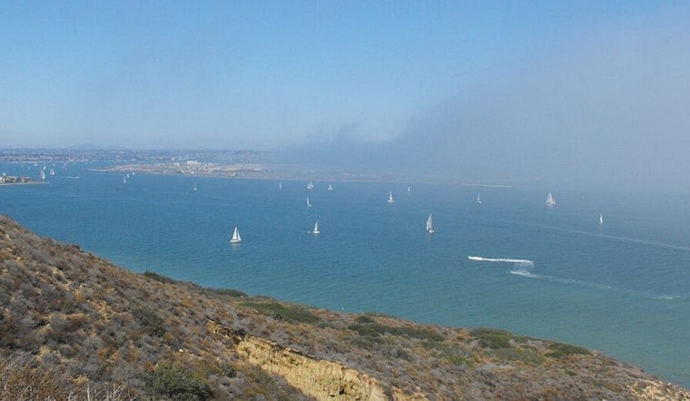 Foggy Commute, Sneaky Riptides Set Tricky Week At San Diego Shores