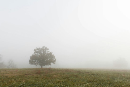 Foggy Crawl, Steamy Sizzle As Atlanta Bakes Near 90