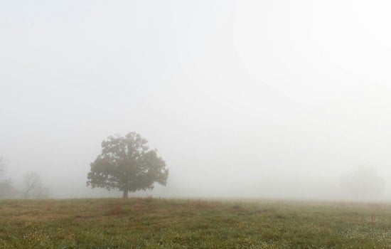 Foggy Crawl, Steamy Sizzle As Atlanta Bakes Near 90