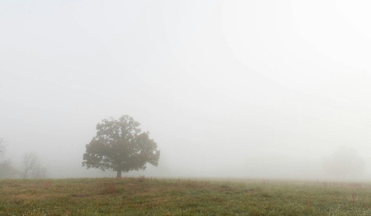 Foggy Crawl, Steamy Sizzle As Atlanta Bakes Near 90
