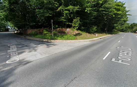 Forest Drive Horror: One Dead, Two Hurt In Annapolis Morning Crash