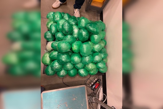 Forest Park Bust: Feds Nab Woman, Seize 200 Pounds Of Meth