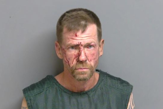 Fork Stabbing, Wrong-Way Chase: Macomb County Suspect Headed To Trial In Wild Crime Spree