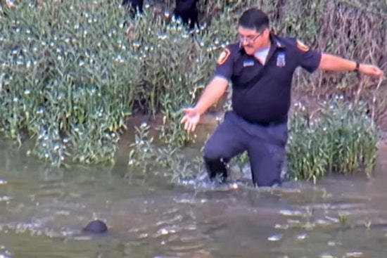 Fort Worth Cop Dives Into Trinity River, Saves Missing Boy In Nick Of Time