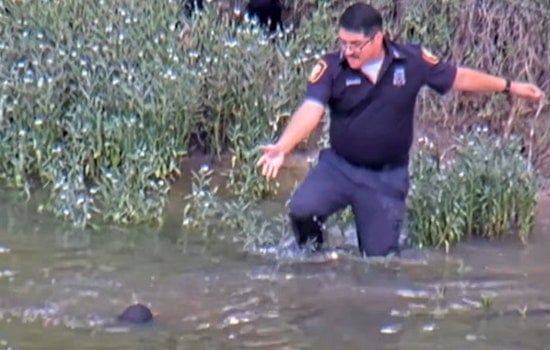 Fort Worth Cop Dives Into Trinity River, Saves Missing Boy In Nick Of Time
