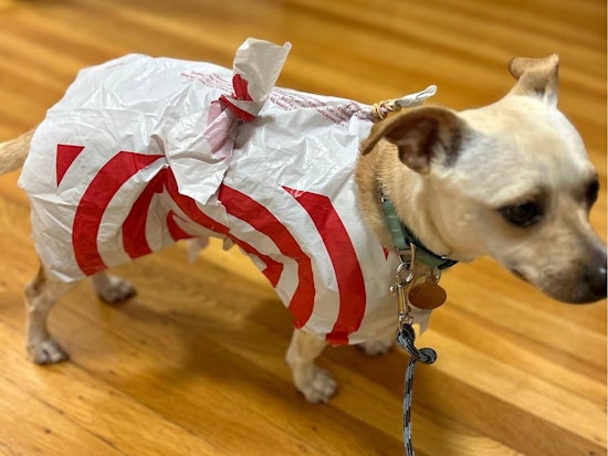 Founder of Real SF Startup Is Cutting Up Banned Target Bags and Calling Them Dog Raincoats. They're $2.