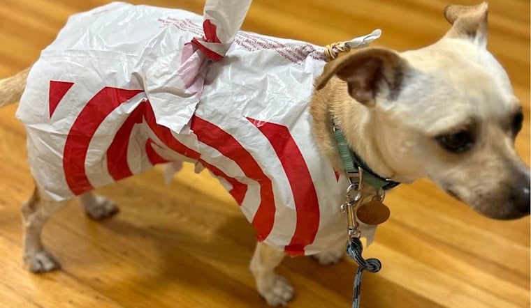 Founder of Real SF Startup Is Cutting Up Banned Target Bags and Calling Them Dog Raincoats. They're $2.