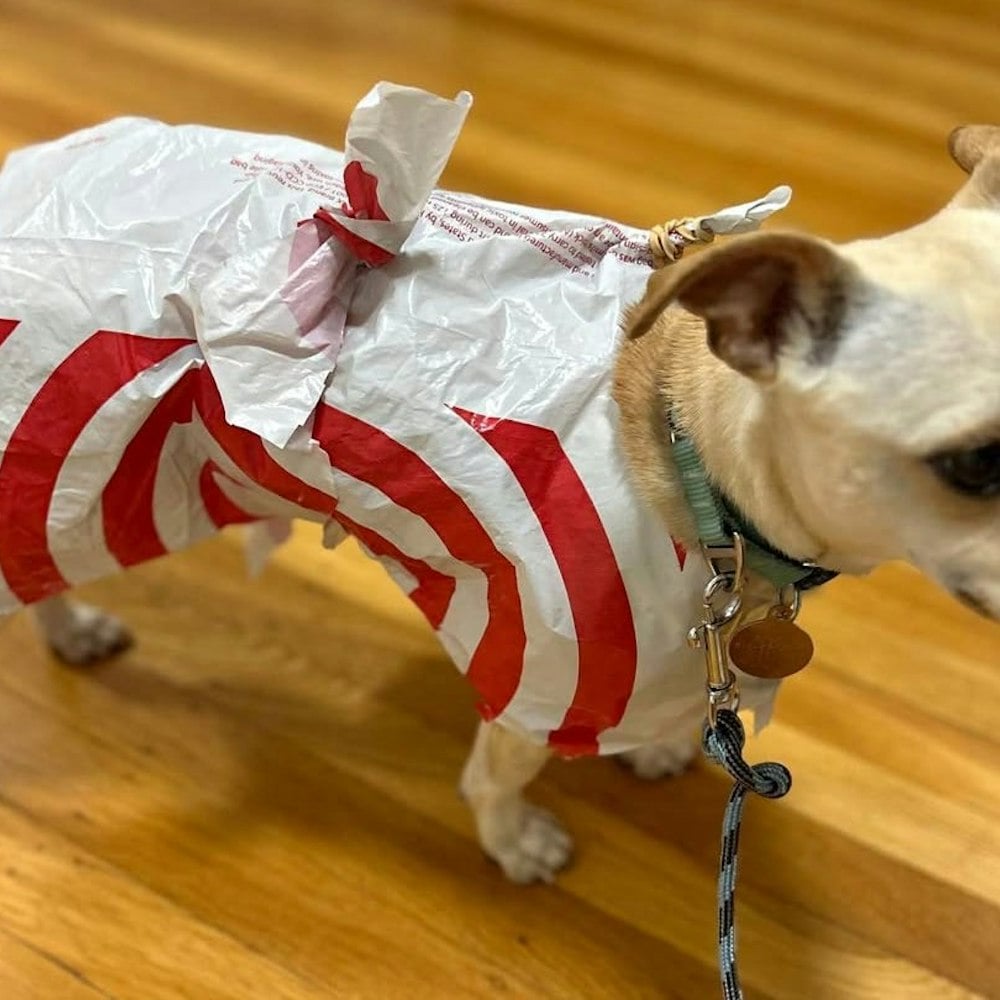 Founder of Real SF Startup Is Cutting Up Banned Target Bags and Calling Them Dog Raincoats. They're $2.