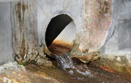 Franklin Families Fume As Raw Sewage Turns Backyard Creek Into Toilet