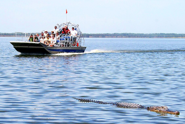 Free Baby Gator Photo Op Ends With Bite To The Face, Lawsuit Says