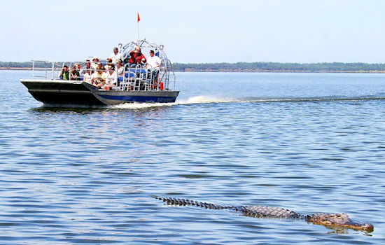 Free Baby Gator Photo Op Ends With Bite To The Face, Lawsuit Says