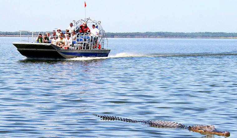 Free Baby Gator Photo Op Ends With Bite To The Face, Lawsuit Says