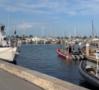 Friends Join Fort Pierce Diver Search, Make Grim Ocean-Floor Discovery