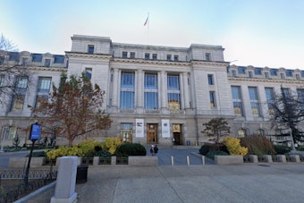 From Pigeon Ghosts To Anacostia Comeback, Smithsonian’s New Show Puts America On D.C. Stage