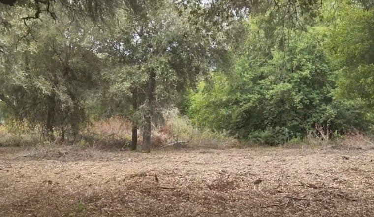 From Traffic-Snarling Blaze to Shaded Fuel Break: Lockhart Line Now Shields Scotts Valley