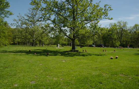 Fury On Washington Boulevard As Elkridge Rages Over Sheetz Plan At Pet Cemetery