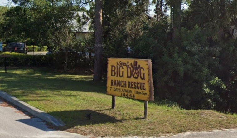 Gator Horror In Boynton As Rescue Mourns Beagle Omelette