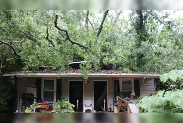 Giant Oak Crushes LaGrange Home, Traps Man In Bedroom