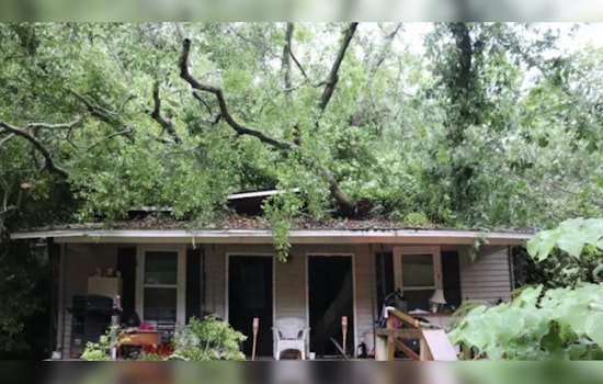 Giant Oak Crushes LaGrange Home, Traps Man In Bedroom