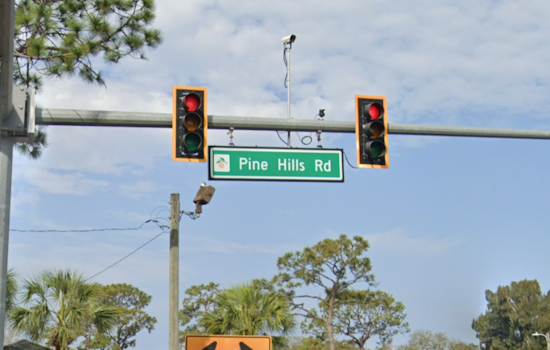 Gold Tesla Cybercab Stuns Drivers On Orlando's Pine Hills Road