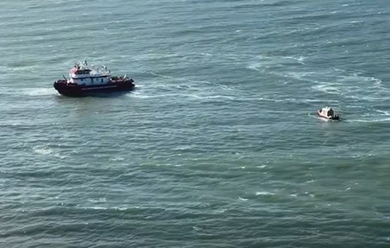 Golden Gate Scare As Firefighters Reel In Stranded Kite Surfer