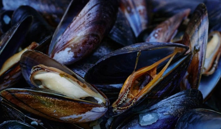 Golden Mussels Nabbed on Tahoe-Bound Boat at Meyers Checkpoint