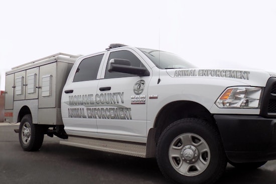 Golden Valley Cops Find 16 Cats, 5 Rattlesnakes Cooking In Pickup