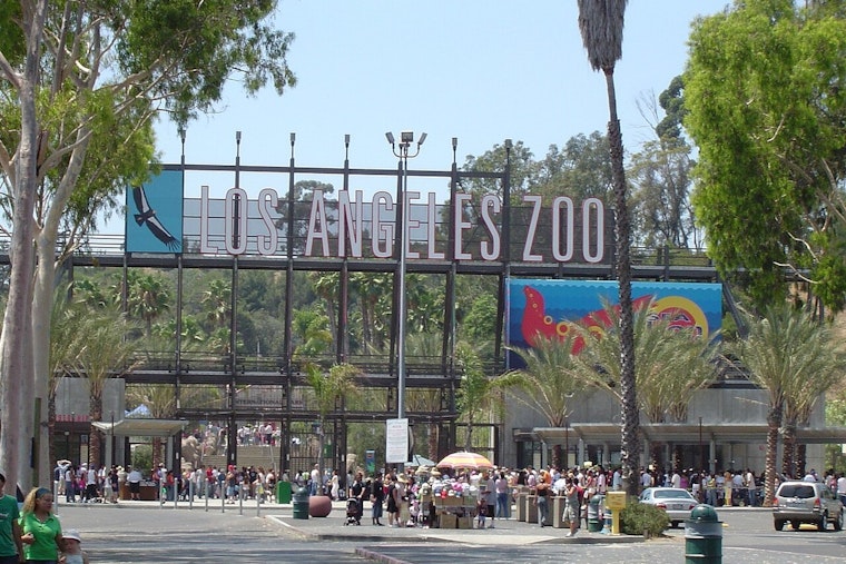 Grand Jury To L.A.: Zoo Is Falling Apart, Time For Private Fixers