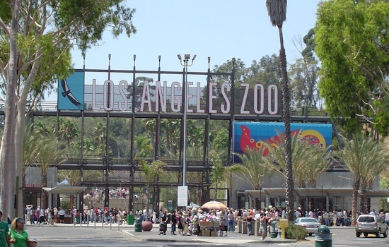 Grand Jury To L.A.: Zoo Is Falling Apart, Time For Private Fixers