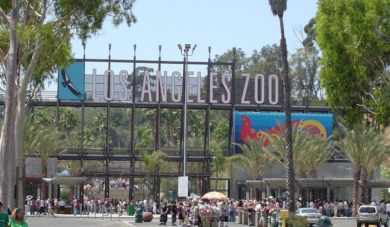 Grand Jury To L.A.: Zoo Is Falling Apart, Time For Private Fixers