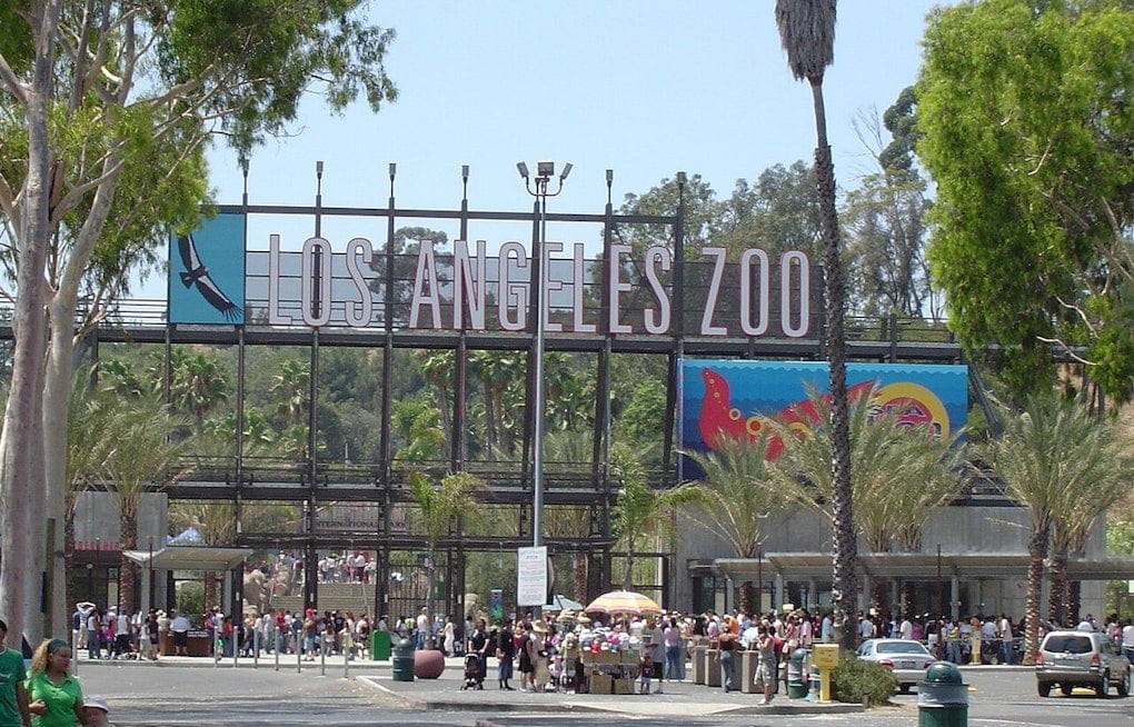 Grand Jury To L.A.: Zoo Is Falling Apart, Time For Private Fixers