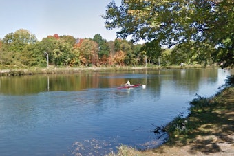 Grim Charles River Discovery Near Brighton's Artesani Park