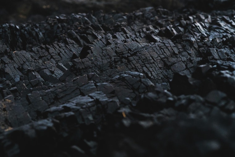 Gulf Coast Coal's Rare Earths Face Tough Economics