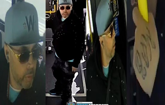 Gun Hill Road Hothead Flashes Knife At BX41 Bus Driver, NYPD Says