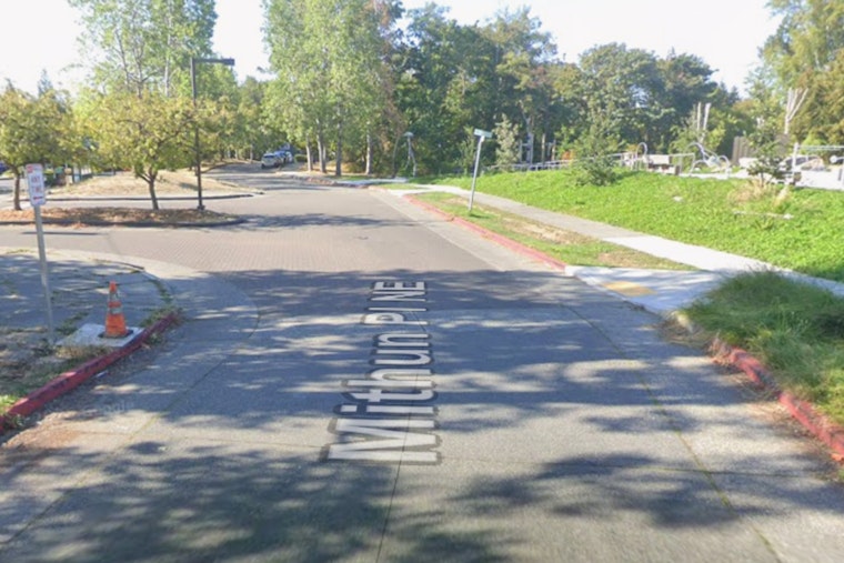 Gunfire Jolts Laurelhurst as Shots Rattle Pathways Park Playground