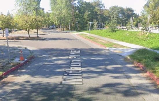 Gunfire Jolts Laurelhurst as Shots Rattle Pathways Park Playground
